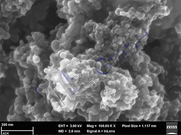 Picture 1: Electron-microscopic picture of CNH (Typ B) in lacquers-matrix